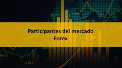 Quiénes son los Participantes del Mercado Forex