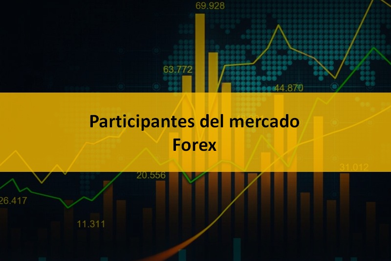 Quiénes son los Participantes del Mercado Forex